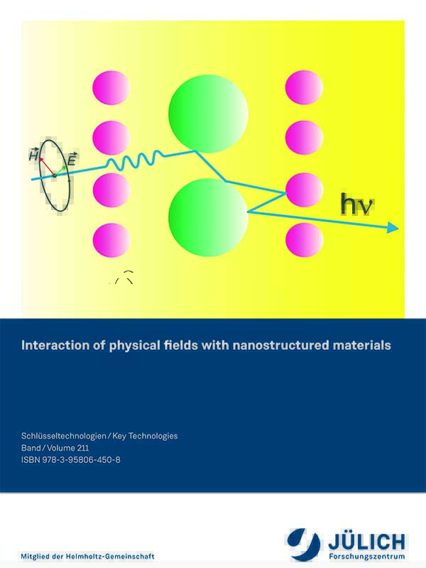 «Interaction of physical fields with nanostructured materials»